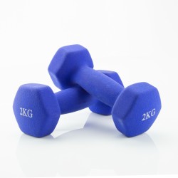 SET OF 2 WEIGHTS OF 2 KG EACH